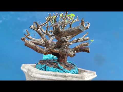 Video ms670 sơn liễu Mini để 120k,ae ưng ý Lh,0933083024,... - youtube