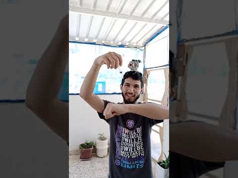 طائر الزريقي
