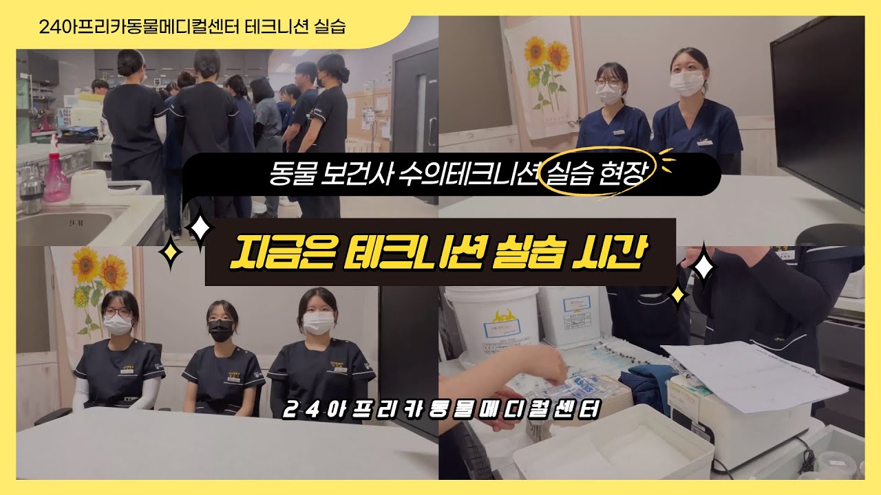 수의테크니션 실습!! 동물병원 실습 현장🐶