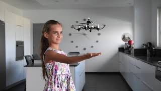Parrot Minidrones