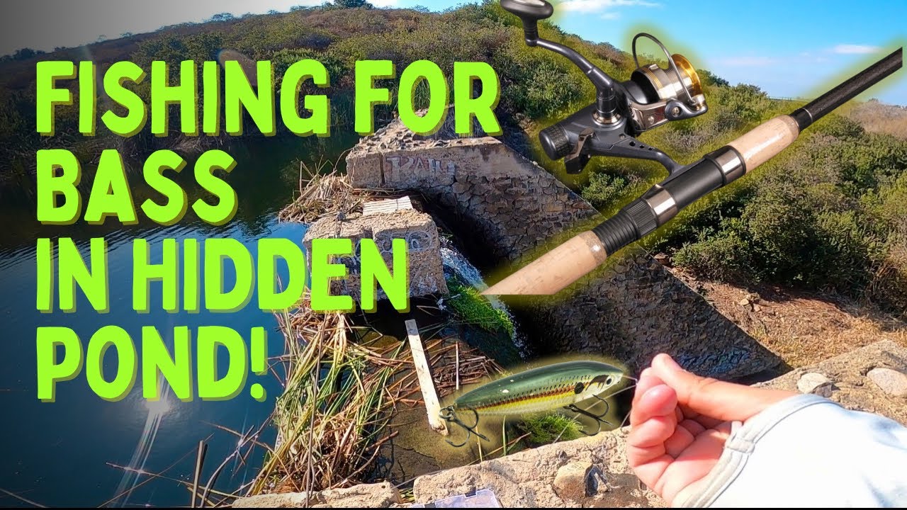 Fishing for Bass in HIDDEN Pond!