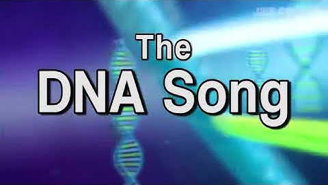 The DNA Song