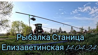 Ловим карпиков Станица Елизаветинская 14.04.24.