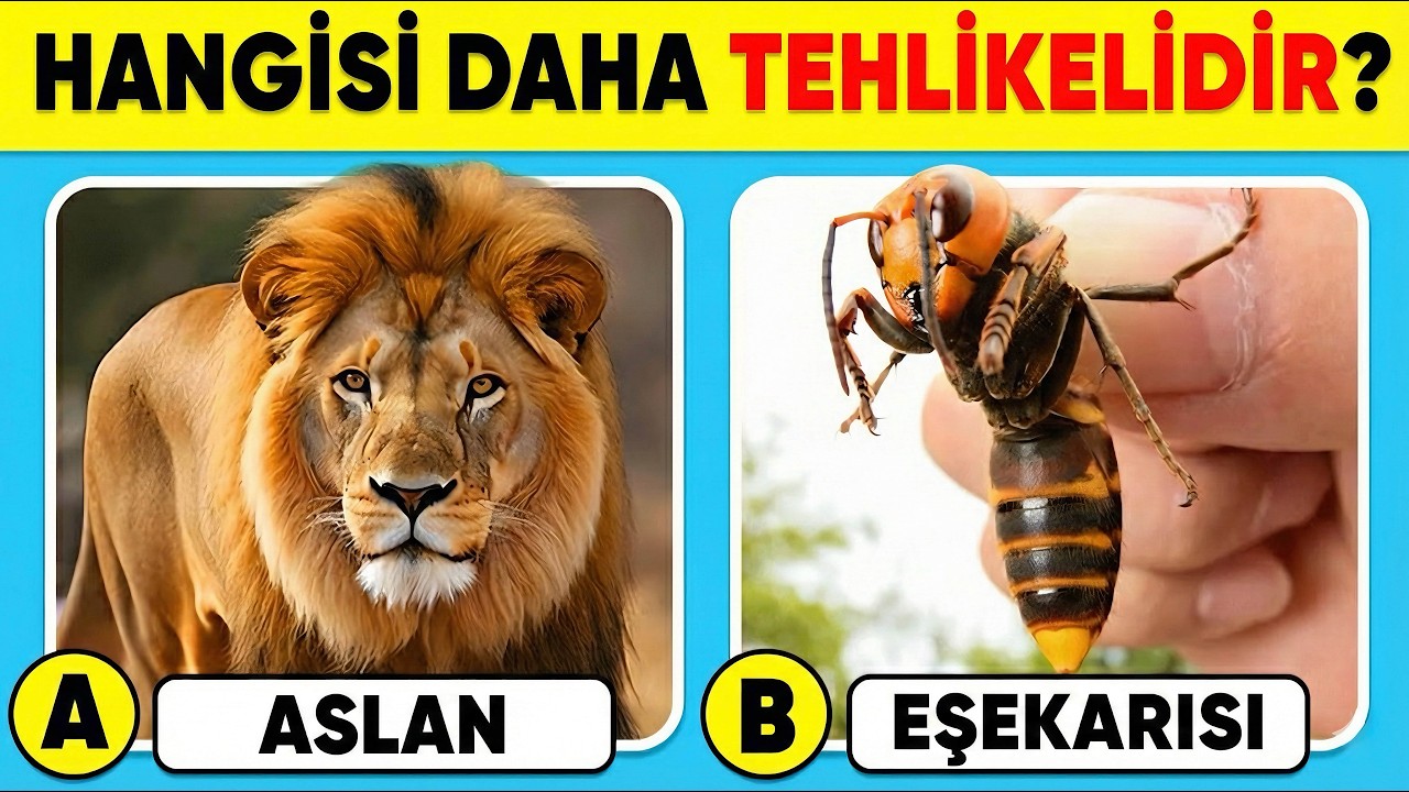 🧠 HAYVANLAR Hakkında  Bilgin Ne Kadar İyi? 🐯🦁 Genel Kültür Bilgi Yarışması✅