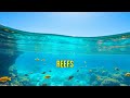 Explore the Most Beautiful Places on Earth
