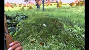 0.59 DayZ invisible players