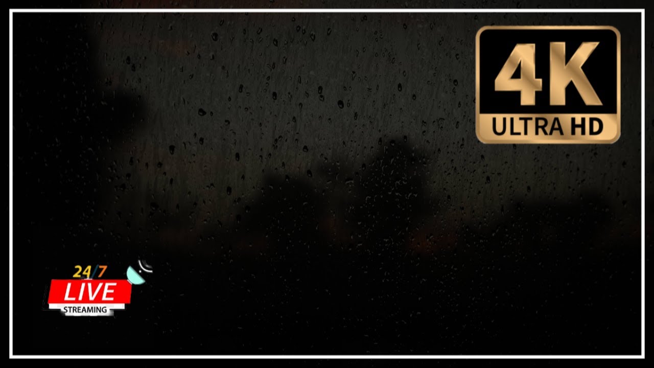 4K Rain Soundscapes Continuous Live Stream for Relaxation, Focus, & Sleep MB Rain Ambient