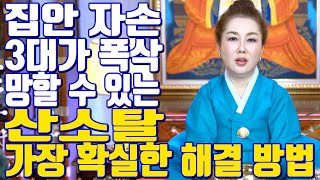 집안 자손 3대가 폭삭 할 수 있는 산소탈 가장 확실한 해결 방법 - 강남점집 용한무당 점집추천 점집후기 연이궁 꽃대신 010-6625-2677
