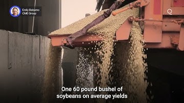 Soybean Oil Is Dominating Soybean Crush Revenues | Presented by CME Group