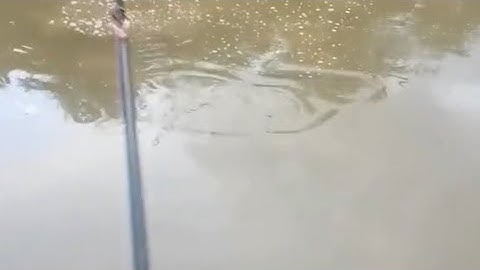 gặp hàng khủng, rít cước nghe phê lắm luôn