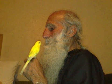 მამა სერაპიონი მარხვის შესახებ. არსებობს თუ არა სამარხვო ნამცხვარი.