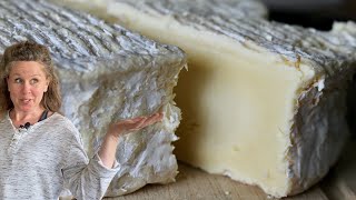 How To Make A Brie Cheese That Tastes Blue