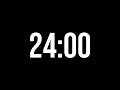 24 Minute Timer