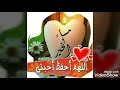 مساء الخير /  حبيبي