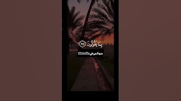 سورة الحجر الايات 97 - 99 ولقد نعلم انك يضيق صدرك بما يقولون