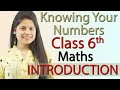 Introduction - Knowing Our Numbers - Chapter 1 - Class 6th Maths