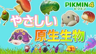 ピクミンを食べない優しい原生生物まとめ！！Summary of friendly protists that don't eat Pikmin! !ピクミン４】