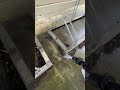 京セラ極軽高圧洗浄機で泥をガッツリ洗う！！ #高圧洗浄機　＃BPWN-1100