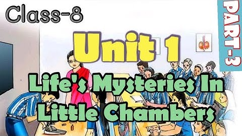 Basic Science/Class 8/Life