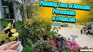 Planting Tons of Colorful Annuals || Elephant Ears & Perennials || Saturday Vlog by Tropical Plant Party 3,170 views 2 weeks ago 1 hour, 9 minutes