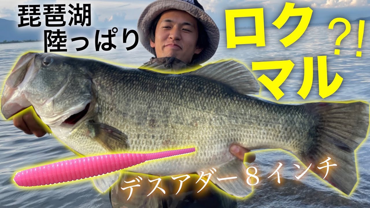 デスアダー8インチでロクマル？！【琵琶湖バス釣り】