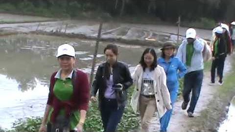 TRÁI TIM TUỆ ĐỨC ĐẾN VỚI NGƯỜI GIÀ NEO ĐƠN - HUYỆN DUY XUYÊN QN