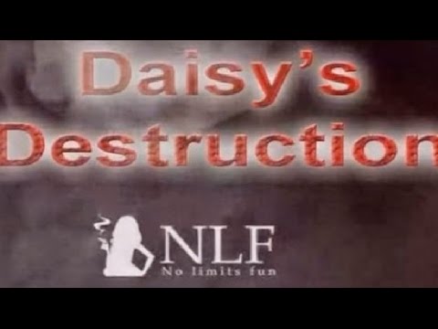 Daisy's Destruction, Peter Scully, NLF Update - YouTube