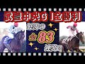 【怒涛シリーズ】レジェンドの中央G I全勝利特集！怒涛の83連発ダイジェスト版