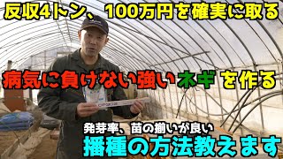 【ネギ最高反収200万】確実に収量が上がるネギ栽培。反収4トン、100万円をしっかりとるネギ栽培。【播種】