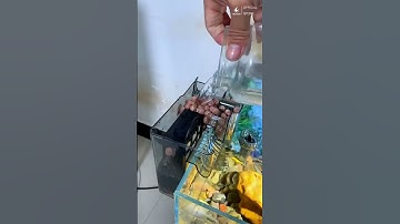 Lọc Thác Treo Tích Hợp Lọc Váng Cherlam Cho Bể Cá Cảnh #locbeca #cherlam #cácảnh