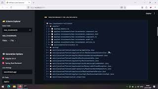 Angular UI Spring Boot Java Code Generator Tool Software Demo