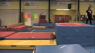 introducing Handspring full Vault