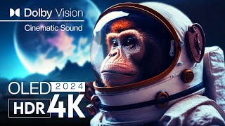 Experience unique INCREDIBLE COLOR Dolby Vision - 4K UHD 60fps Animals with Cinematic Sound