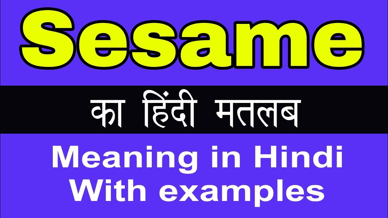 Sesame Meaning In Hindi Sesame Ka Matlab Kya Hota Hai YouTube