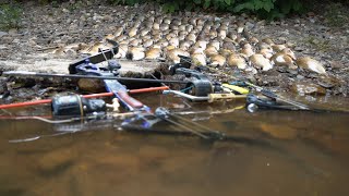 UNREAL CREEK SHOOT | SNAKES in THE BOAT | Bowfishing in Pennsylvania