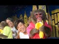 【お猿ユーチューバー】バナナ&ヤクルト早食い早飲み選手権！新人登場！