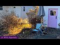 Winter Sowing 2024 || How To Get Started