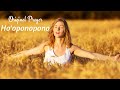 Ho'oponopono - Original  Prayer
