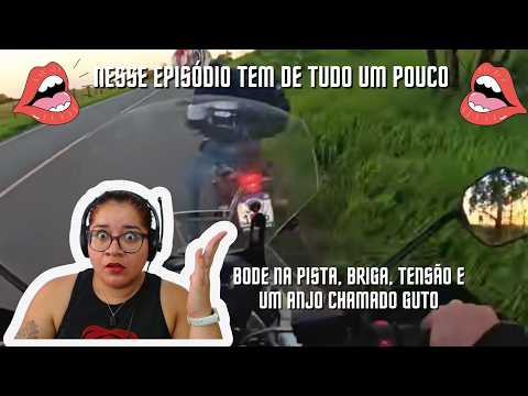 REACT OBSERVAÇÕES DIÁRIAS - XRACING (ep:308) - Bode, briga e bagunça!