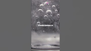 Surface Tension: The Invisible Force That Lets Bugs Walk on Water #alberteinsteinbrain