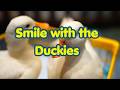 Relax with the Duckies. You are sure to smile with this one.