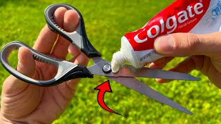 Celebrity Put toothpaste on Scissors!!😱 Didn't Expect it to be so Effective, any Home can Use it Profile