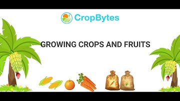 Growing Crops & Fruits - Tutorial | CropBytes