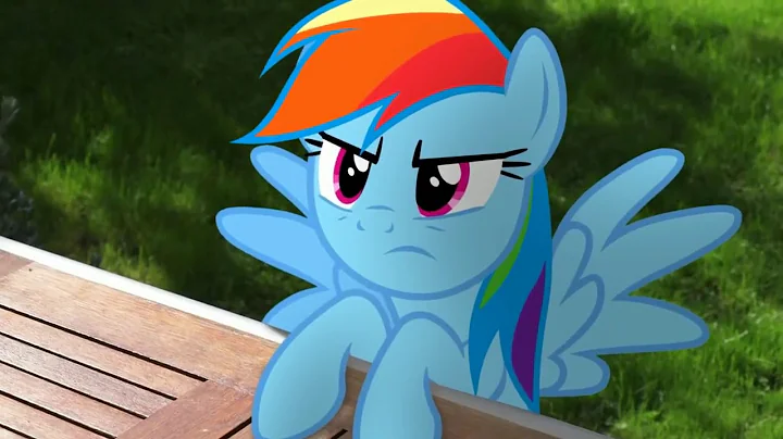 Rainbow Dash's Precious Book - Part 1 - 14 (MLP in real life)