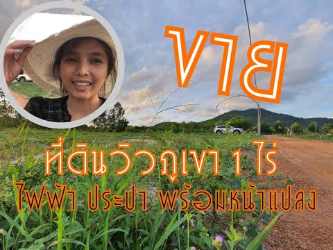 ขายที่ดิน ที่เปล่า ตำบลตะพง อำเภอเมือง จังหวัดระยอง
