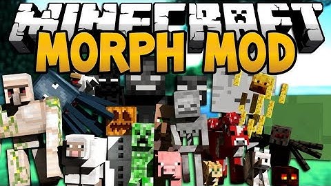 Minecraft - Morph Into Anything PART 1 #gaming #gameplay #gamers #youtuber #morphintoanything