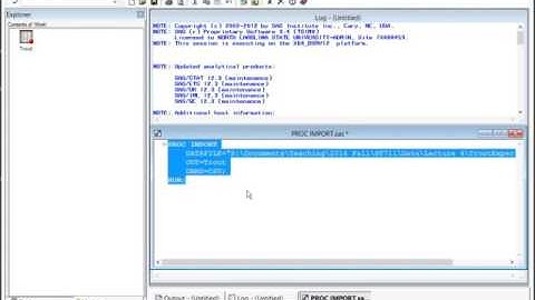 1 IMPORT and DATA step in SAS