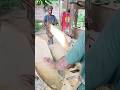 #shorts #ytshorts #trending #youtubeshorts #viralshort