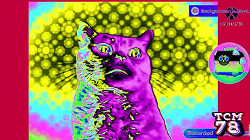 Preview 2 ‎Numa Cat V31 effects [Inspired by N‎EI‎N Csup‎o effects]