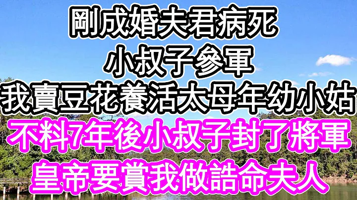 刚成婚夫君病死，小叔子参军，我卖豆花养活太母和年幼小姑，不料7年后小叔子做了将军，皇帝要封我做诰命夫人 | #为人处世#生活经验#情感故事#养老#退休#浅谈人生#深夜浅读 - 天天要闻